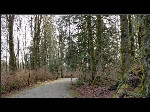 Fort to Fort Trail | Travistock Trail