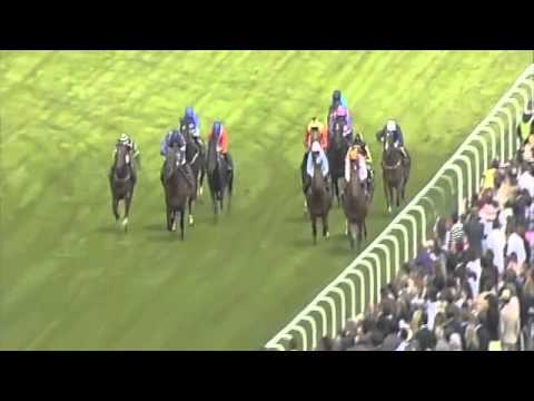 2010 Kings Stand Stakes, Gr.1 (1000m) EQUIANO