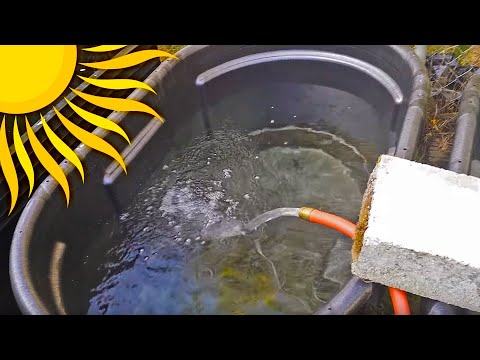 Summer Tubbin 100 gallon rubbermaid stock tanks Easy DIY Fish Ponds. Tropical Fish Outside