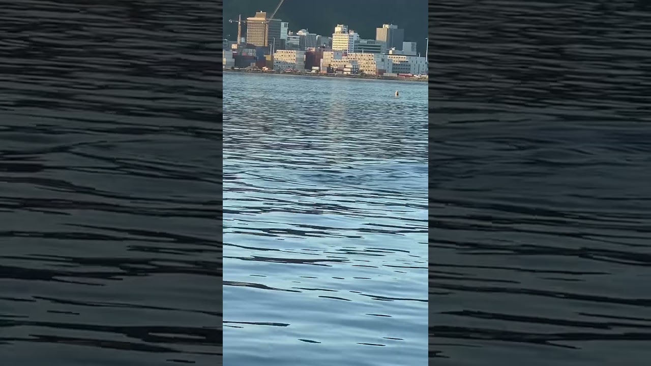 YouTube Short thumbnail