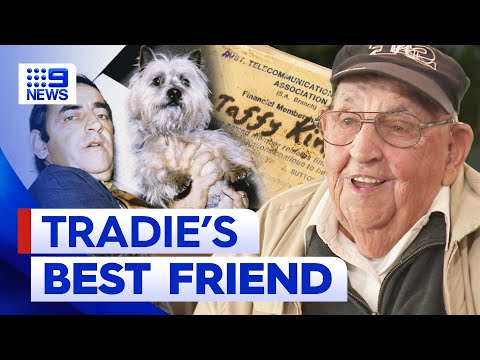 Telco tradie and his loyal four-legged apprentice recognised | 9 News Australia