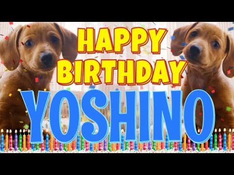 Happy Birthday Yoshino! ( Funny Talking Dogs ) What Is Free On My Birthday