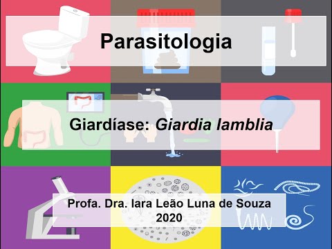 paraziták 2020 összefoglaló