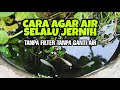 HOW TO CLEAN WATER NATURALLY WITHOUT A FILTER WITHOUT CHANGING THE WATER