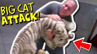 LIONS ATTACK ME (REALLY) AND GNARLY REPTILES!!! | BRIAN BARCZYK