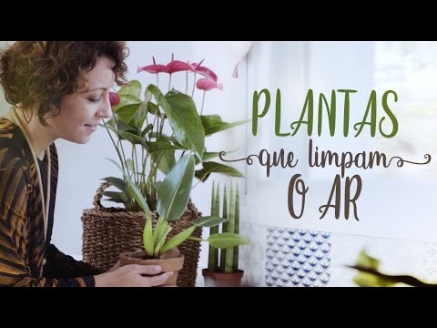 Vídeo YouTube