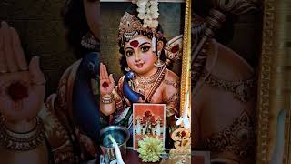 Download lagu Kantha Shasti 6th day🙏🌹🌺 mp3 Download lagu Kantha Shasti 6th day🙏🌹🌺 mp3