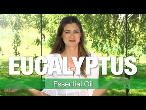 Eucalyptus Essential Oil