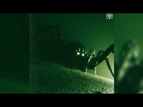 PARAMORE - ALL I WANTED (RUVLO FLIP)