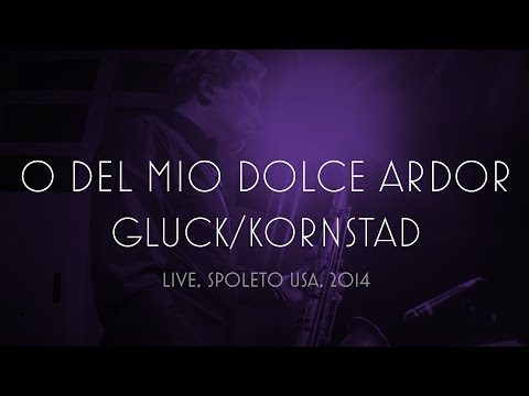 Håkon Kornstad – "O del mio dolce ardor" (Gluck), live at Spoleto Festival, US, 2014