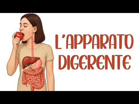 🍝 THE DIGESTIVE SYSTEM and DIGESTION - The Human Body, Science 📚