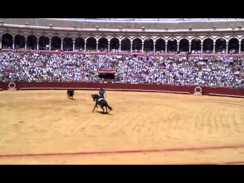 Corrida at Seville on the 8th of May 2011 - Horse dance