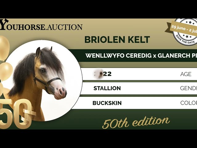 Briolen Kelt