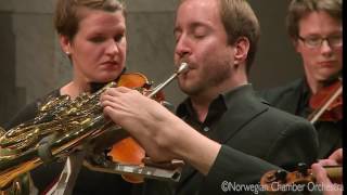 Download lagu W. A. Mozart: Horn Concerto No. 2 in E-flat major, K. 417, III. Rondo - allegro mp3 Download lagu W. A. Mozart: Horn Concerto No. 2 in E-flat major, K. 417, III. Rondo - allegro mp3