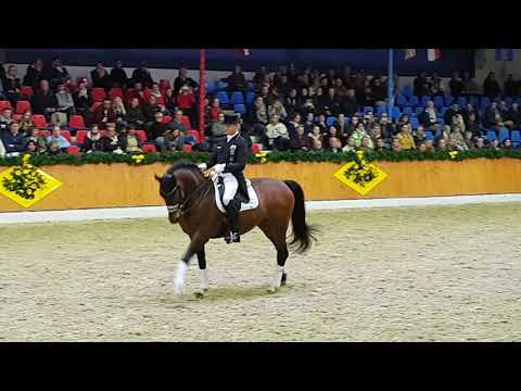 Escolar Privathengstschau 18.02.2018 Vechta