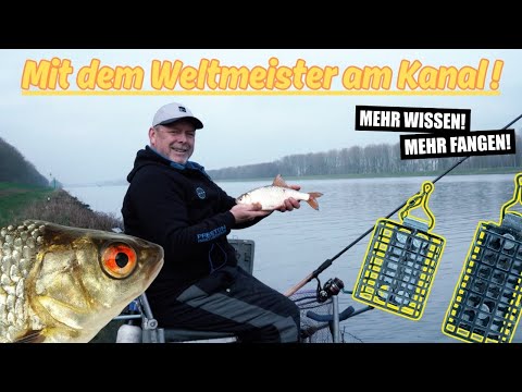 Canal fishing with the world champion trainer, tips and tricks for professionals and beginners.