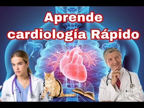 ¡POTENCIALES DE ACCIÓN CARDIACOS!