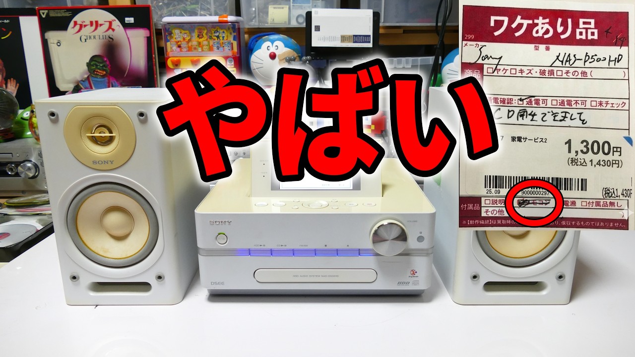 訳ありの正体、ヤバすぎた