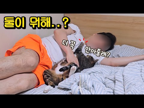 길고양이 출신 맞아? 험한 길생활도 바꾸지 못한 고양이의 타고난 성격