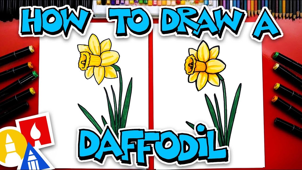How To Draw A Daffodil