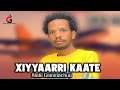Abdii Gammachuu Xiyyaarri Kaate New Oromo Music 2024 Official Video