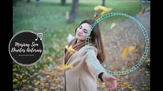 The Rope River Blues Band - The Vistas Missing Views [Musica Sem Direitos Autorais]