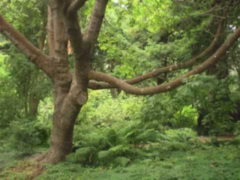 3 Meditations - Riley Lee