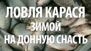 Лучшая насадка на карася зимой