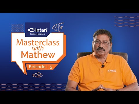 Masterclass with Mathew | Episode 5 | Complete Fish Feeding Guide