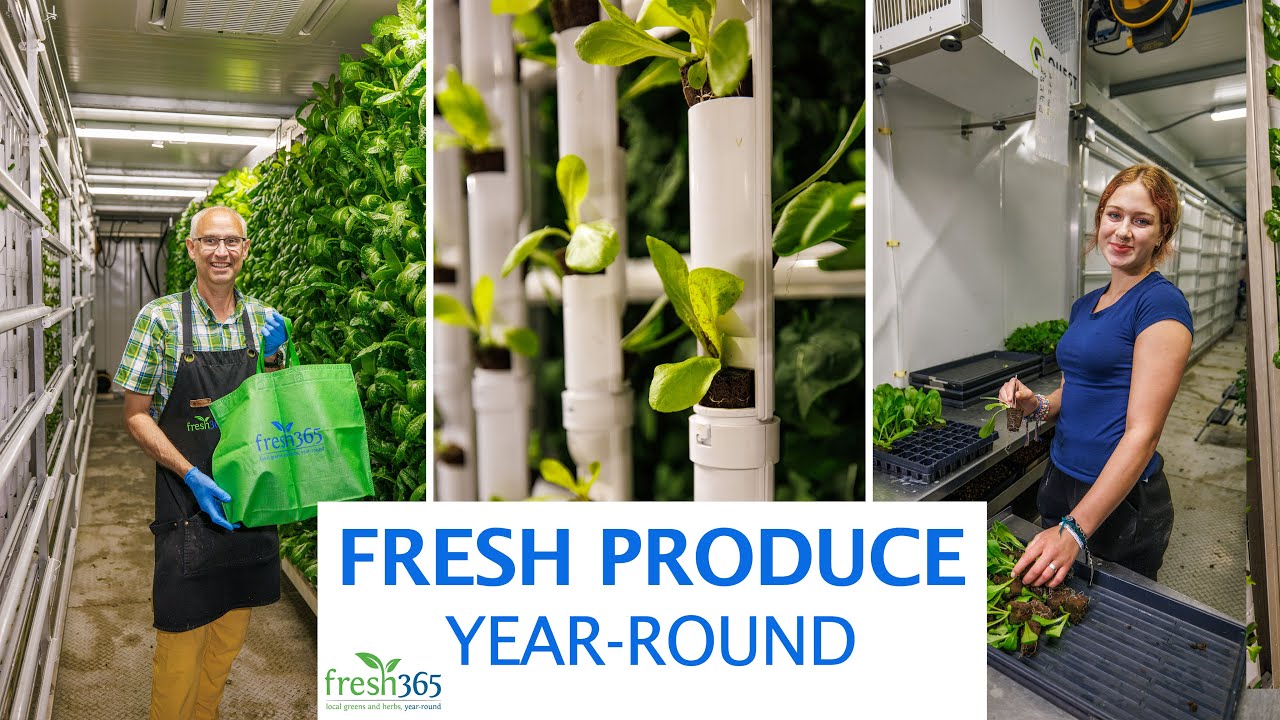 Fresh 365 | Year-Round Local Produce & Gourmet Mushrooms in Alaska