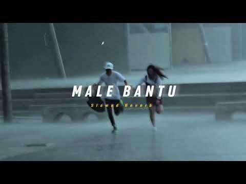 Male Bantu ( Slowed + Reverb ) | Soul Vibez