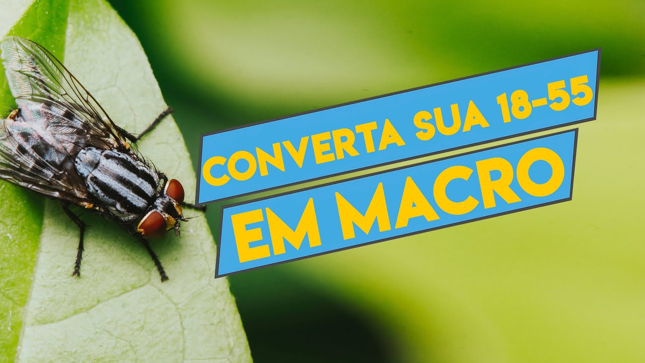 Macrofotografia sem lente macro: Transforme lentes convencionais em Macro