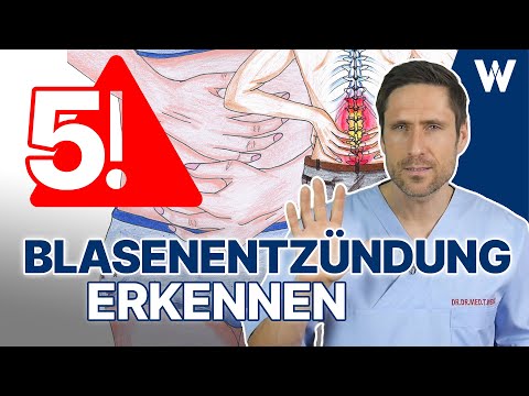 Plötzliche Blasenentzündung: Diese Symptome solltest du kennen & dann schnell handeln | 5 Tipps