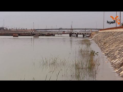 شاهد بالفيديو.. ارتفاع مناسيب المياه في نهر دجلة شمال البصرة  #المربد