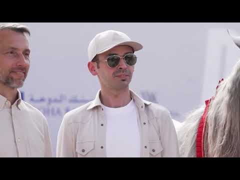 From Brazil to Europe, the young Arabian filly TM BELLA competing in Circo Massimo in Rome