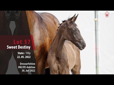 OnLive-Auktion Lot 57 Sweet Destiny Stute v. Selectric - Florencio I