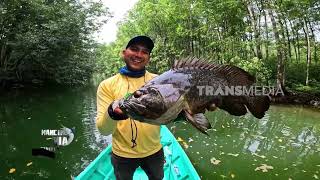 Download lagu Sensasi Sambaran Penguasa Muara | MANCING MANIA STRIKE BACK (06/06/26) P3 mp3 Download lagu Sensasi Sambaran Penguasa Muara | MANCING MANIA STRIKE BACK (06/06/26) P3 mp3