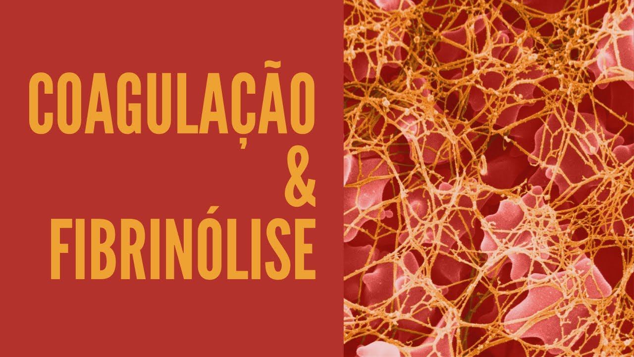 Coagulação e fibrinólise
