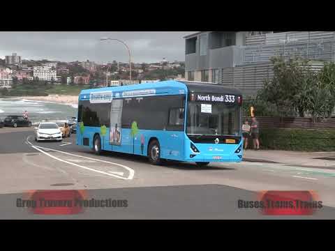 Australian Buses:  State Transit Authority the last ever enthusiast tour.