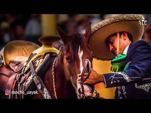 EL CAMINO AL FUTURITY VIP - Capítulo 8 (Parte 3)