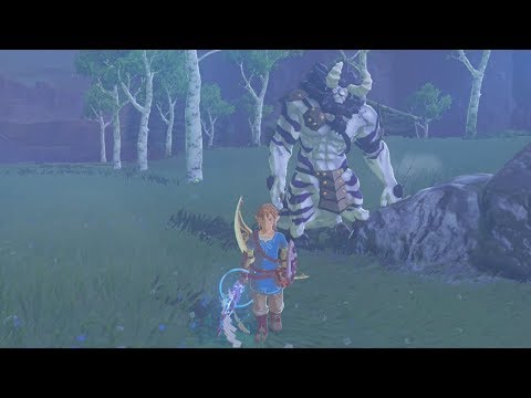 One-Hit Obliterator Vs Silver Lynel! 5000 HP in ONE HIT? Zelda Breath of the Wild