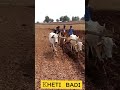 Main Khetiwadi Kara Karo New Status DJ Remix Song