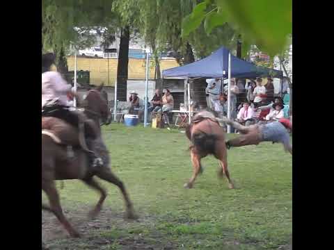 Cierre del broche de oro en la 4º Fiesta de la Tradición en Crespo Entre Rios
