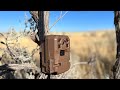 Moultrie Mobile Edge Cellular Trail Camera 2-Pack