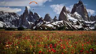 Oi Va Voi - gypsy (feat. Earl Zinger)