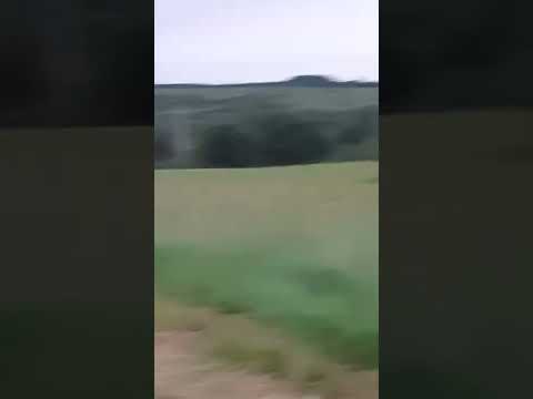 brusturi romania 2022... memorialul dureri... comuna cea mai innapoiata din judetul bihor.. hotie