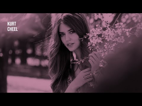 Kurt - Cheel | 1 Hour