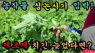 제초제보다 빠른 로타리작업 한방에 풀제거