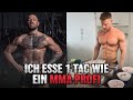 Ich esse 1 Tag wie ein MMA Profi (Conor McGregor)