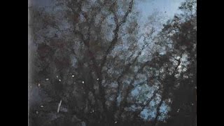 rehberg & bauer - supa (1997)